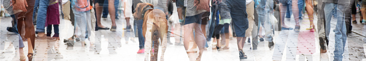 Schmuckbild - Abteilung Gesellschaft