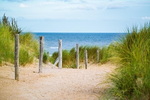 Ein sandiger Pfad führt durch das Watt der Nordsee ins Meer